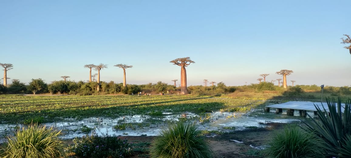 GRAND TOUR DE L’OUEST À L’EST EN PASSANT PAR LE SUD