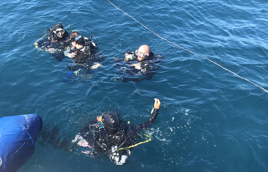 CROISIÈRE ÎLE EN ÎLE ET PLONGÉE
