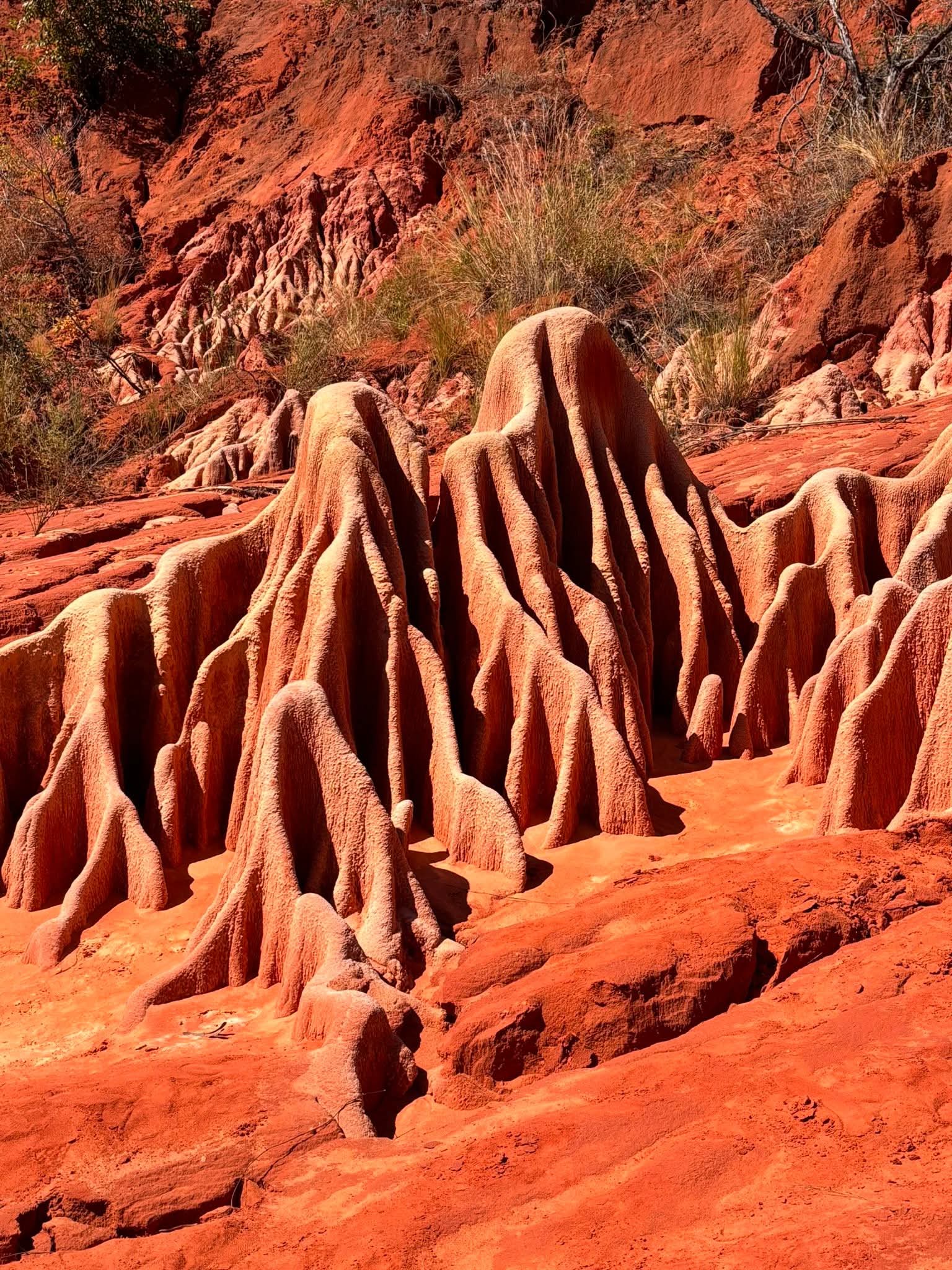 DÉCOUVERTE DU NORD, ENTRE TERRE ET MER