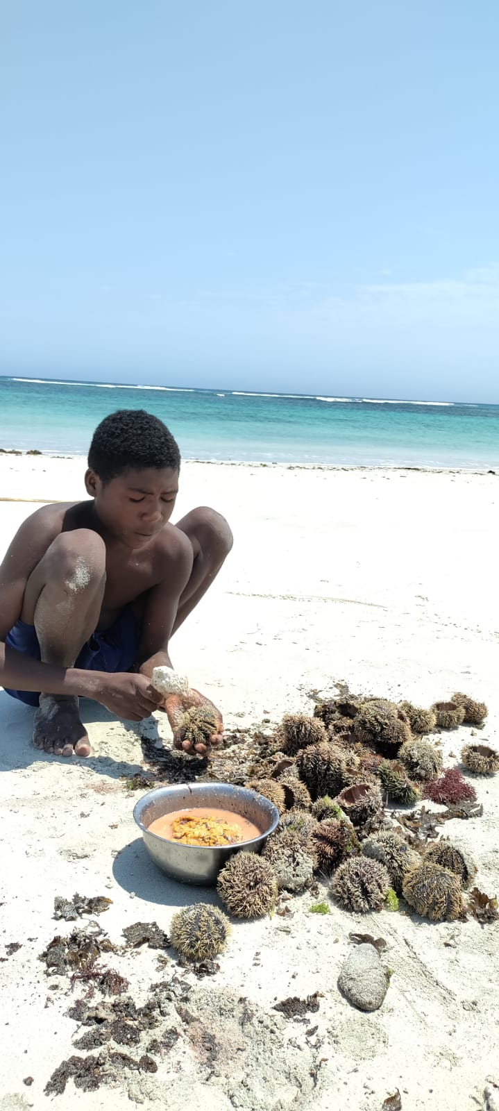 LE GRAND SUD, DE TULEAR A FORT DAUPHIN