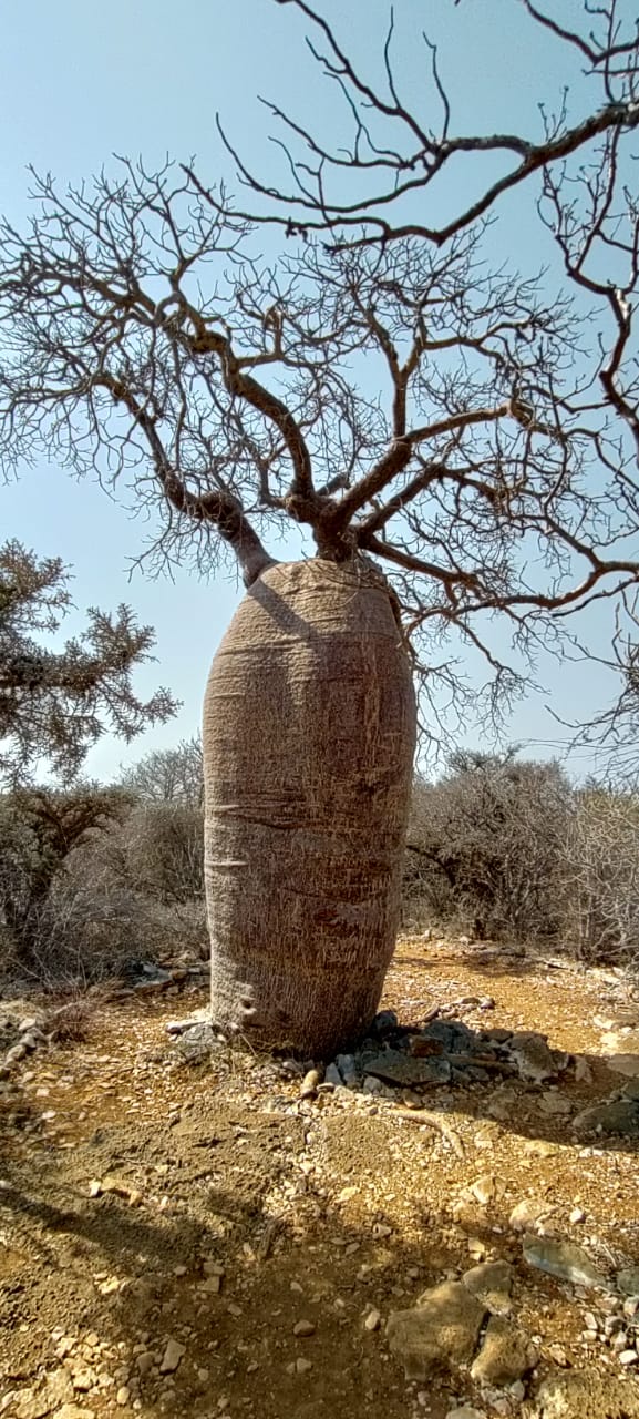 GRAND TOUR DE L’OUEST À L’EST EN PASSANT PAR LE SUD