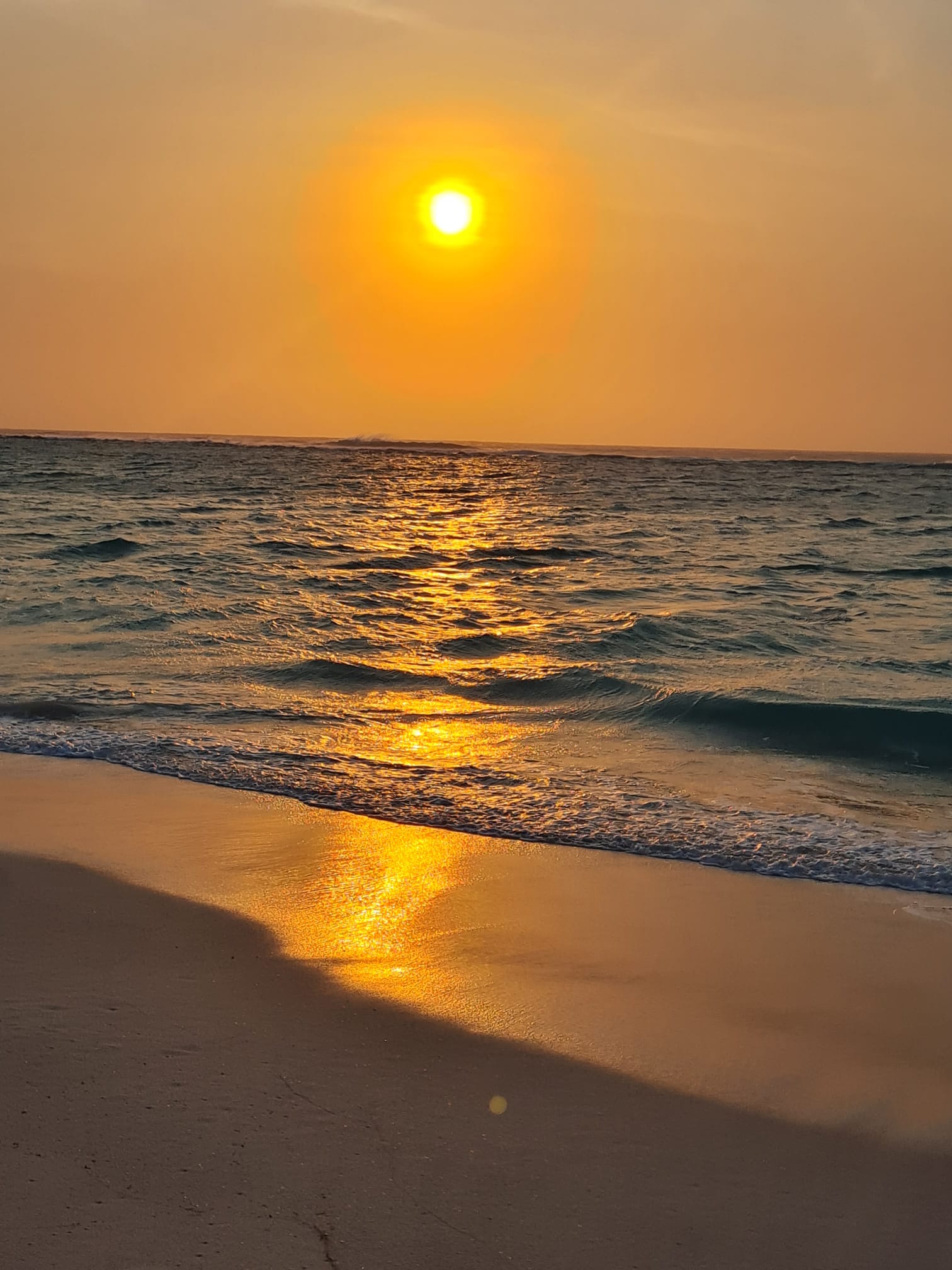CROISIÈRE ÎLE EN ÎLE ET PLONGÉE