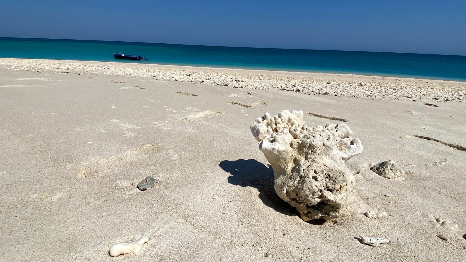 LE GRAND SUD, DE TULEAR A FORT DAUPHIN