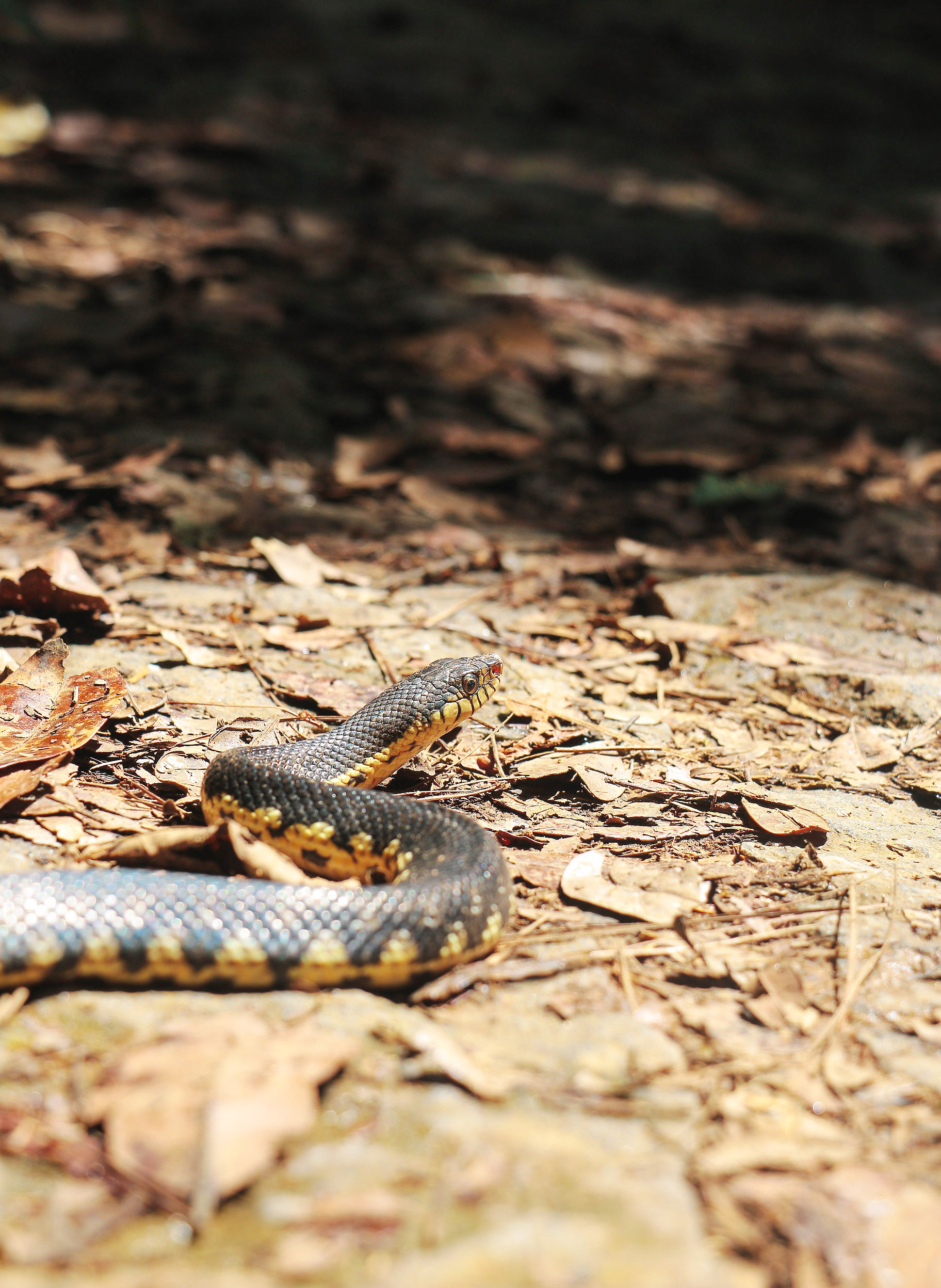 MAROANTSETRA ET LA PENINSULE DE MASOALA