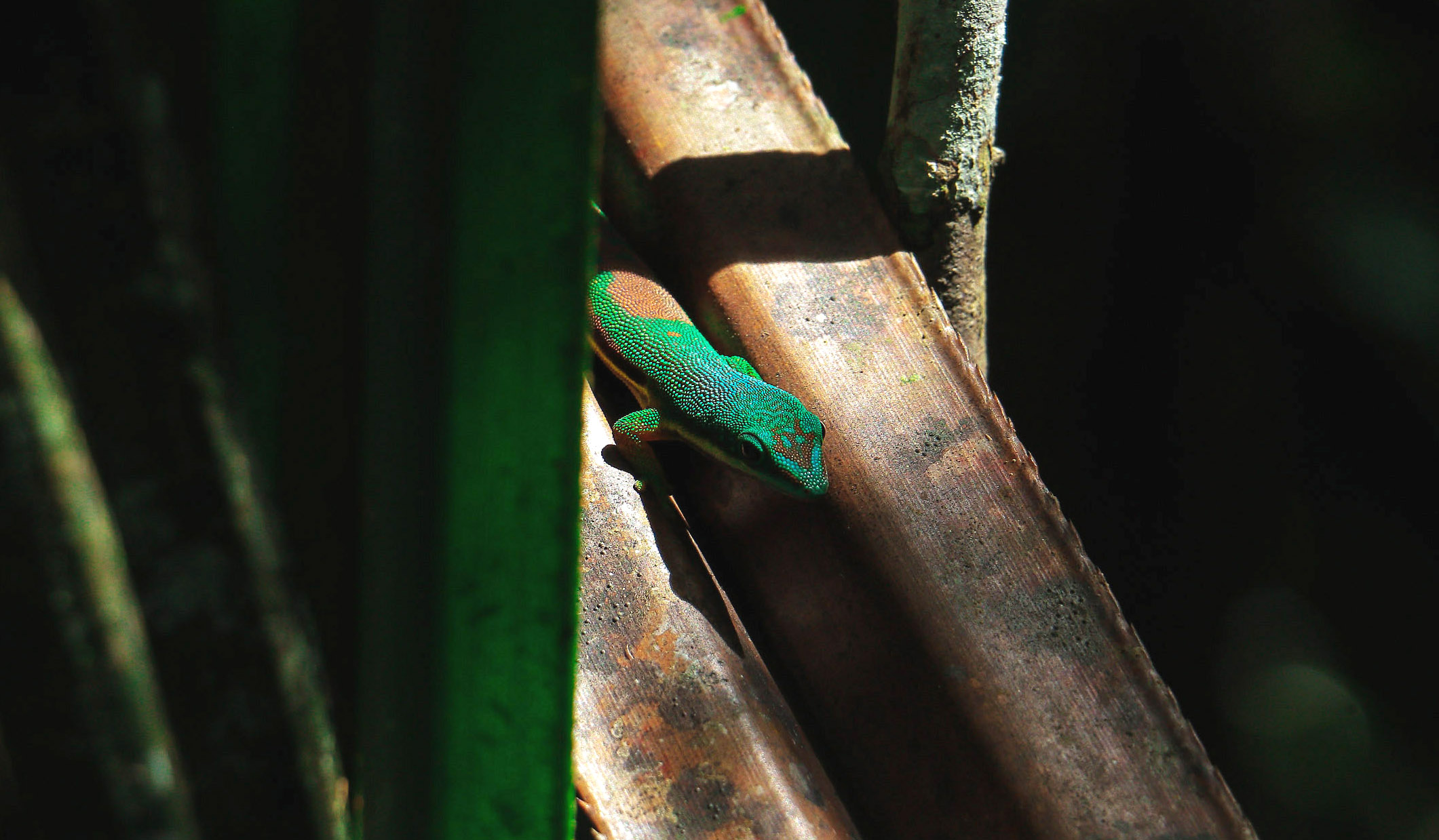 DÉCOUVERTE DU NORD, ENTRE TERRE ET MER