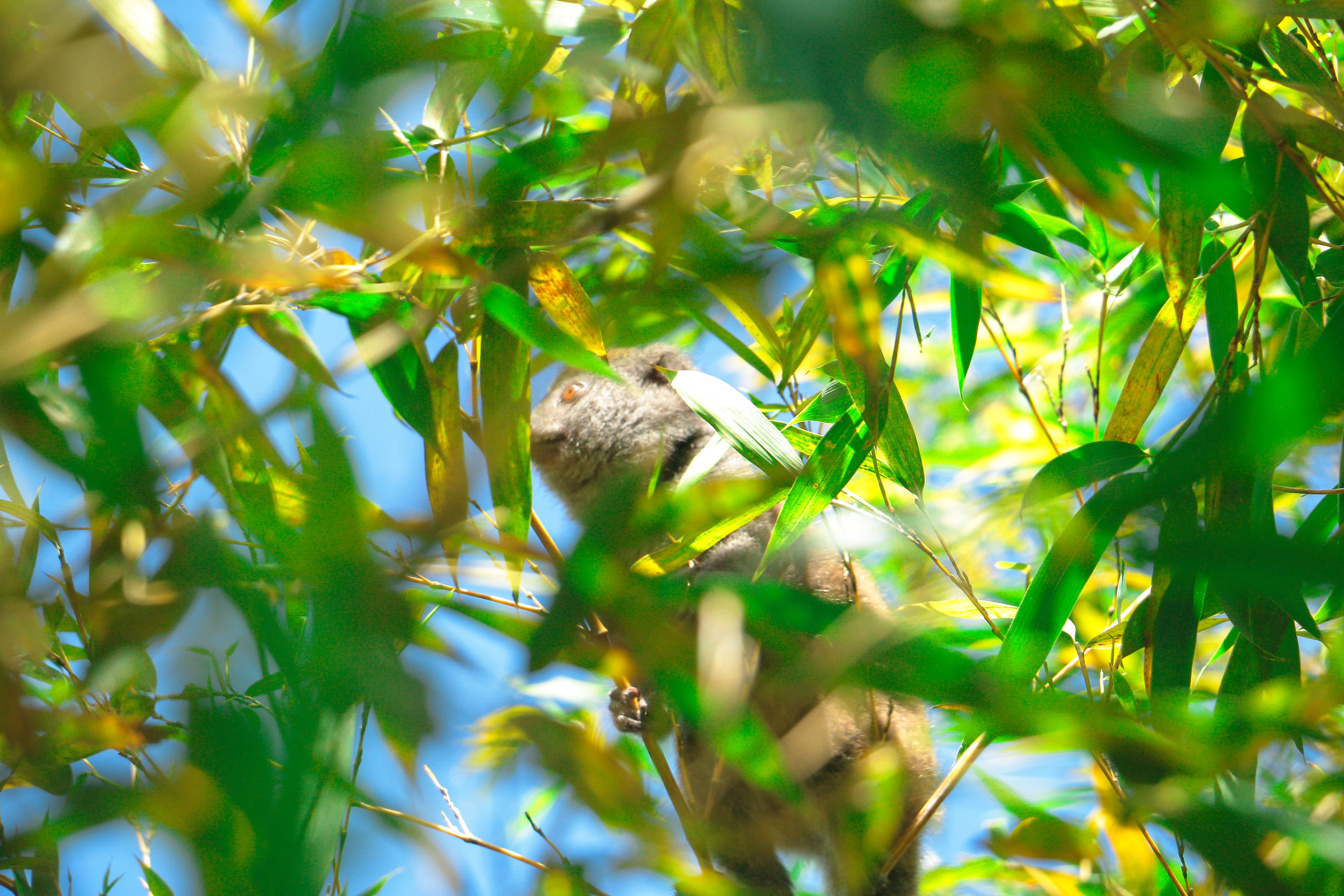 LE GRAND SUD, DE TULEAR A FORT DAUPHIN