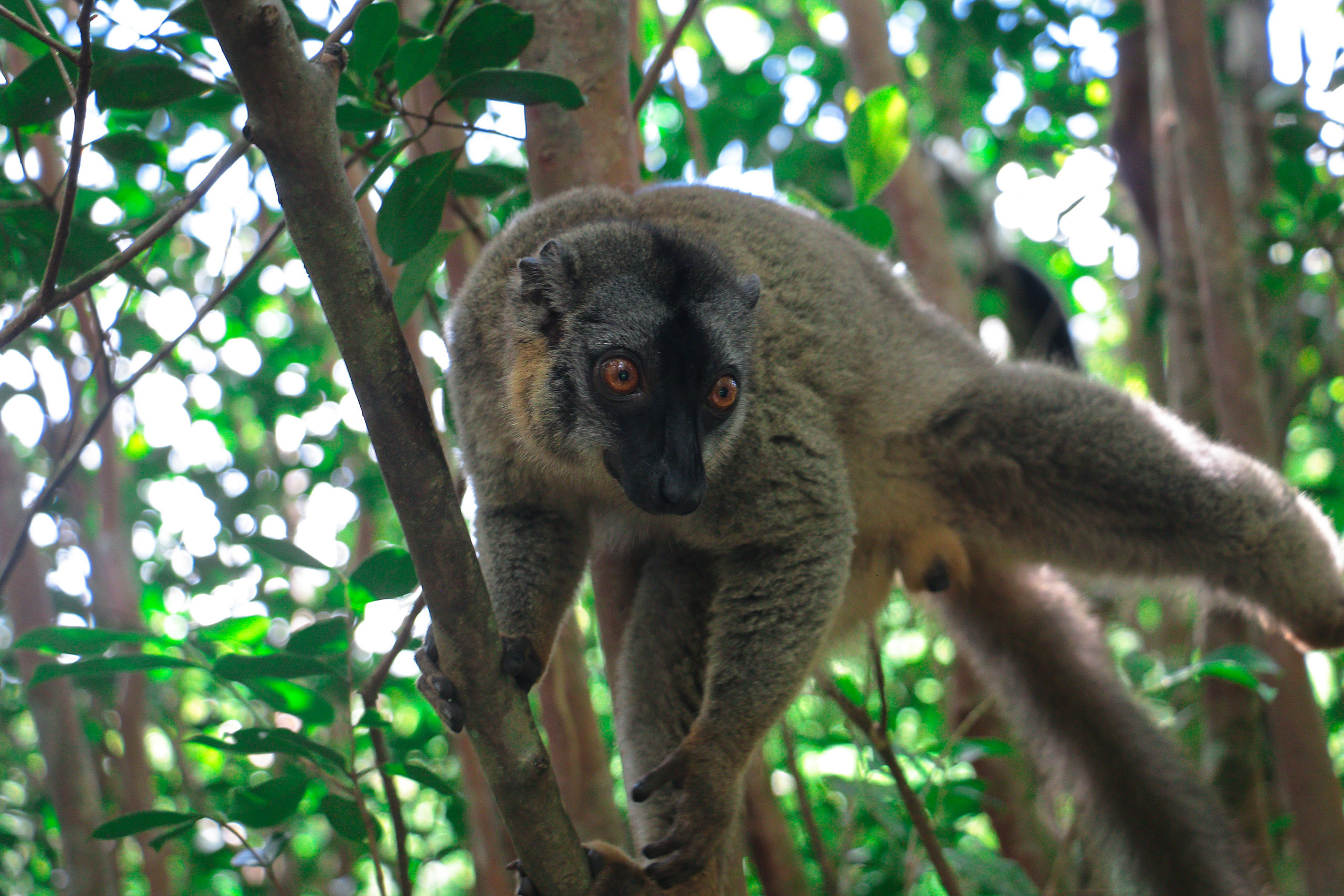 GRAND TOUR DE L’OUEST À L’EST EN PASSANT PAR LE SUD