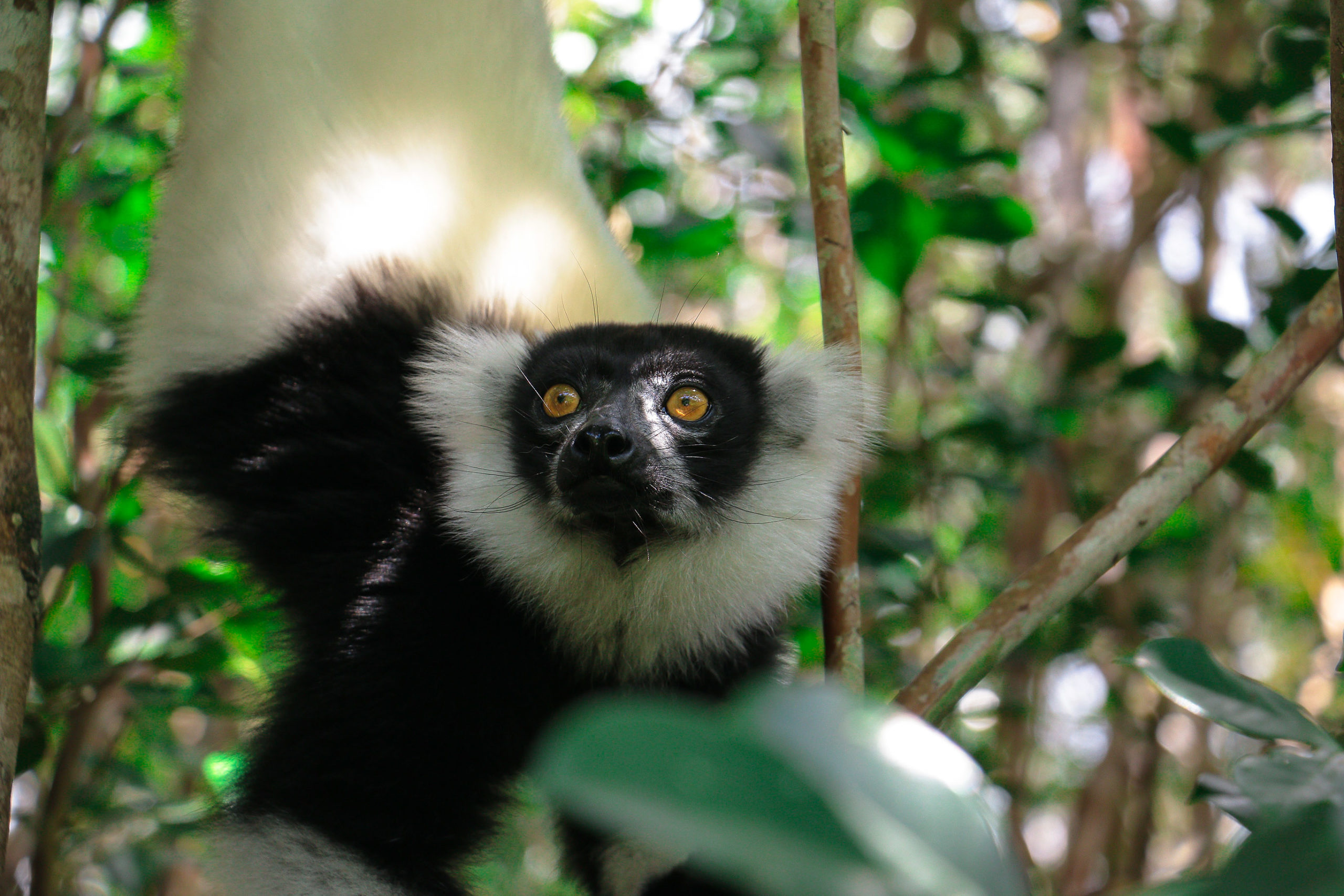 MAROANTSETRA ET LA PENINSULE DE MASOALA