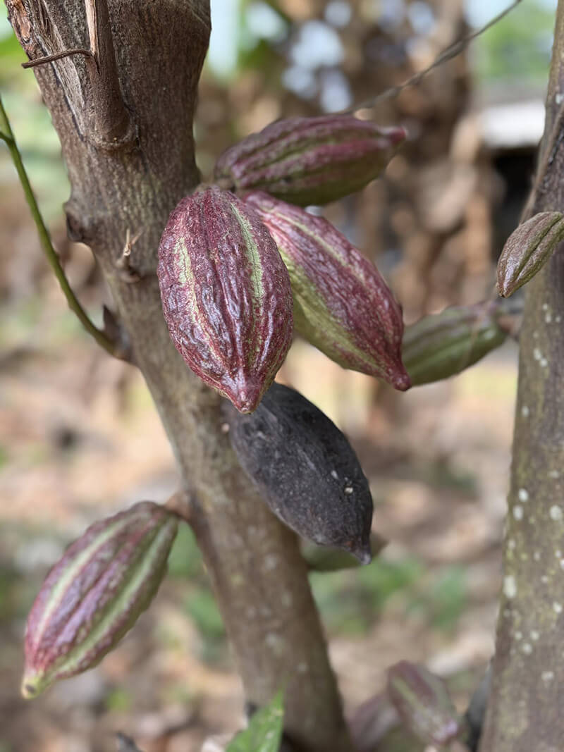DÉCOUVERTE DU NORD, ENTRE TERRE ET MER