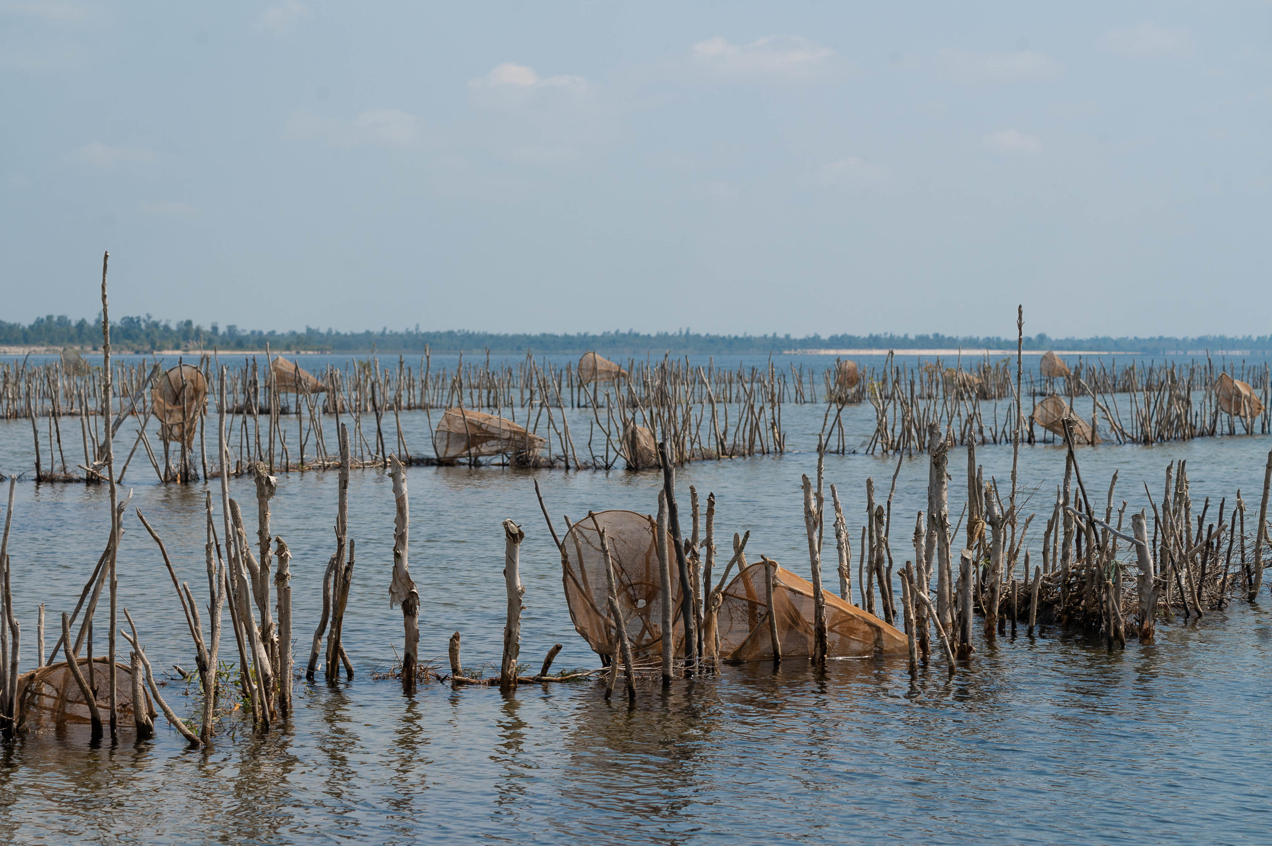 VOYAGE EN TERRE TANALA:  DE RANOMAFANA AU CANAL DES PANGALANES ET SÉJOUR SUR L’ÎLE SAINTE MARIE