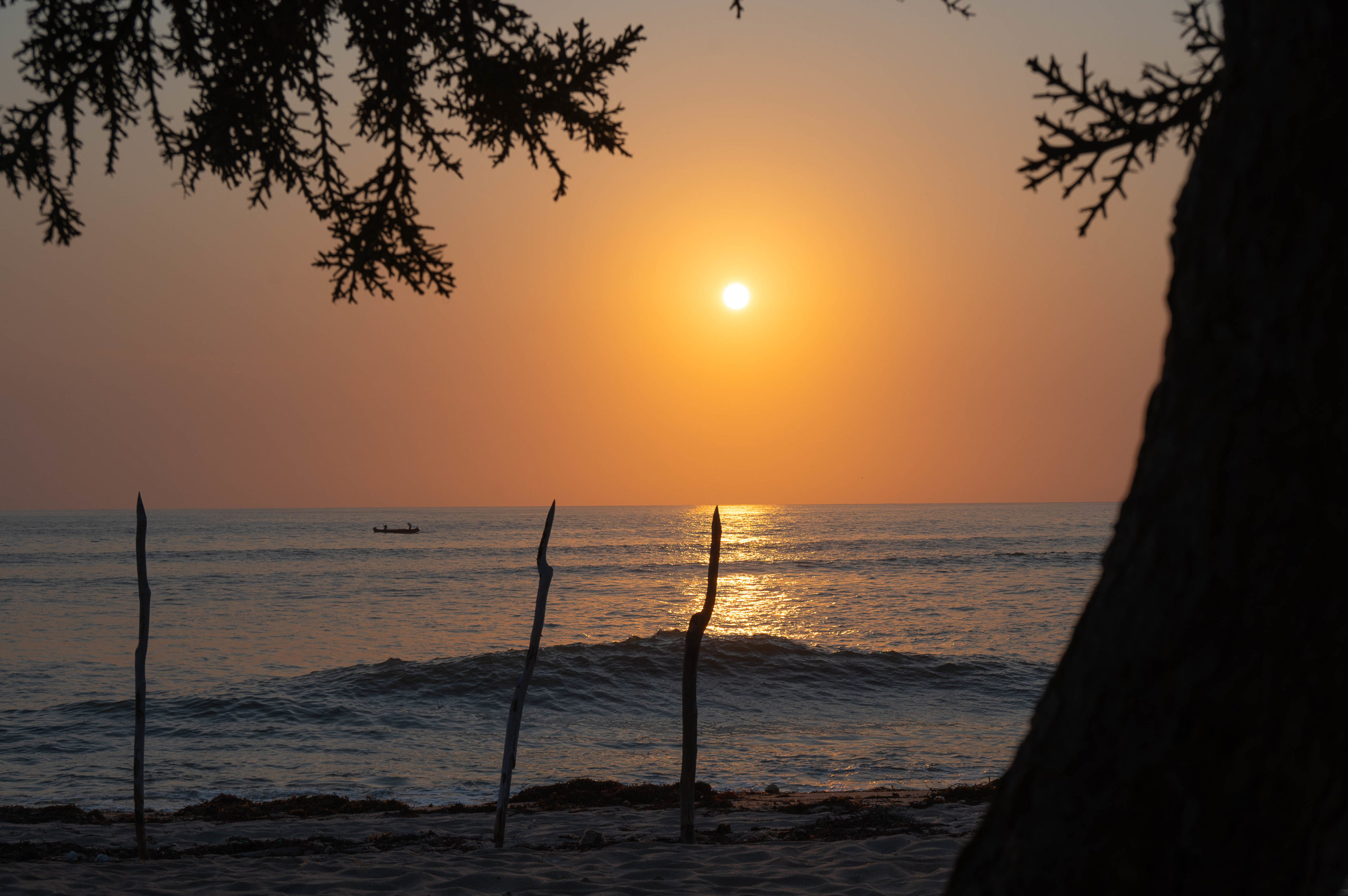 VOYAGE EN TERRE TANALA:  DE RANOMAFANA AU CANAL DES PANGALANES ET SÉJOUR SUR L’ÎLE SAINTE MARIE