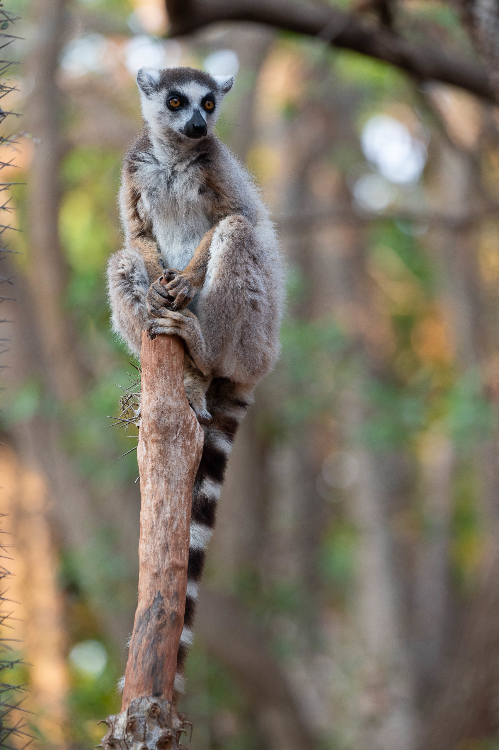 GRAND TOUR DE L’OUEST À L’EST EN PASSANT PAR LE SUD