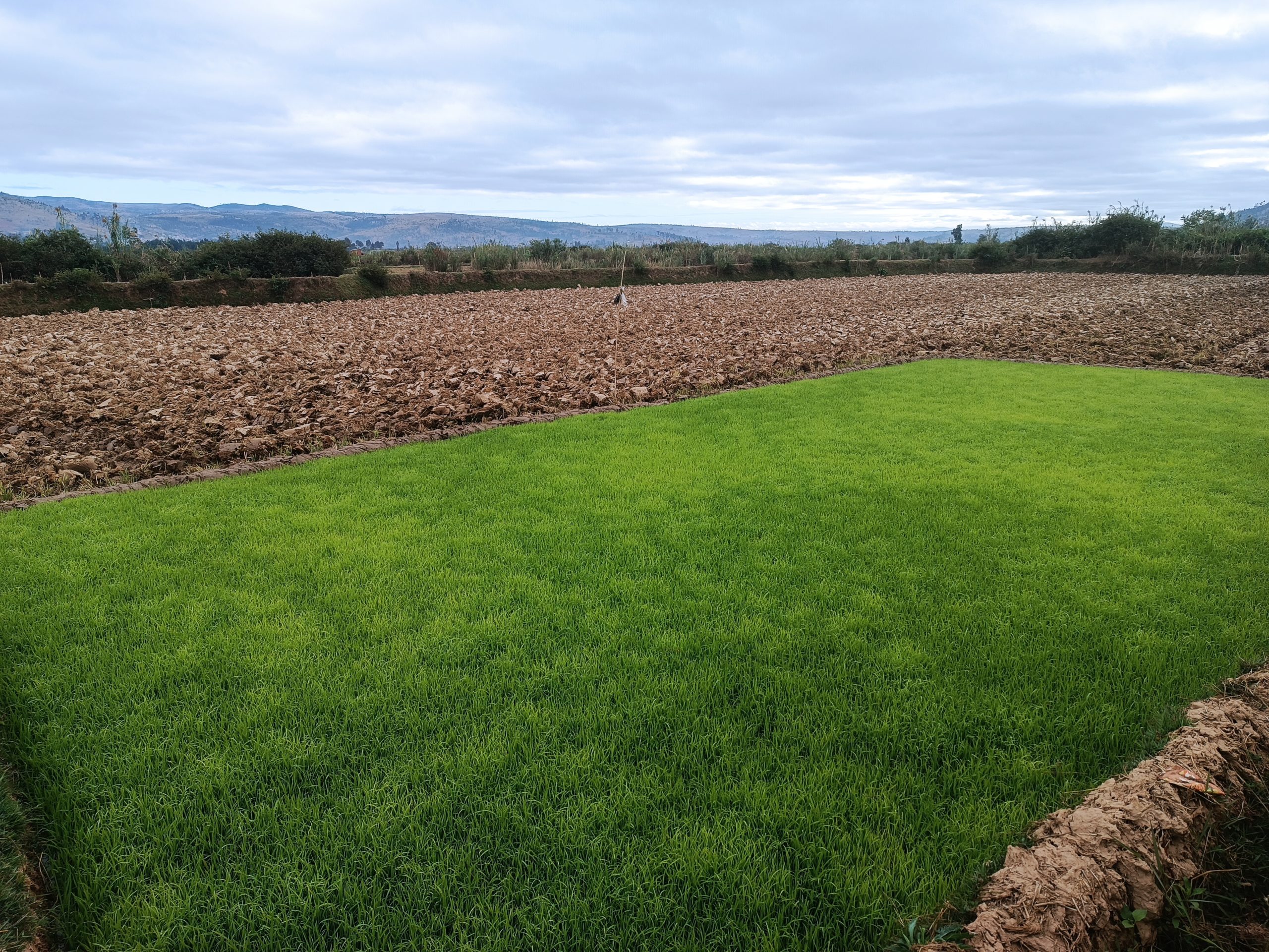 GRAND TOUR DE L’OUEST À L’EST EN PASSANT PAR LE SUD