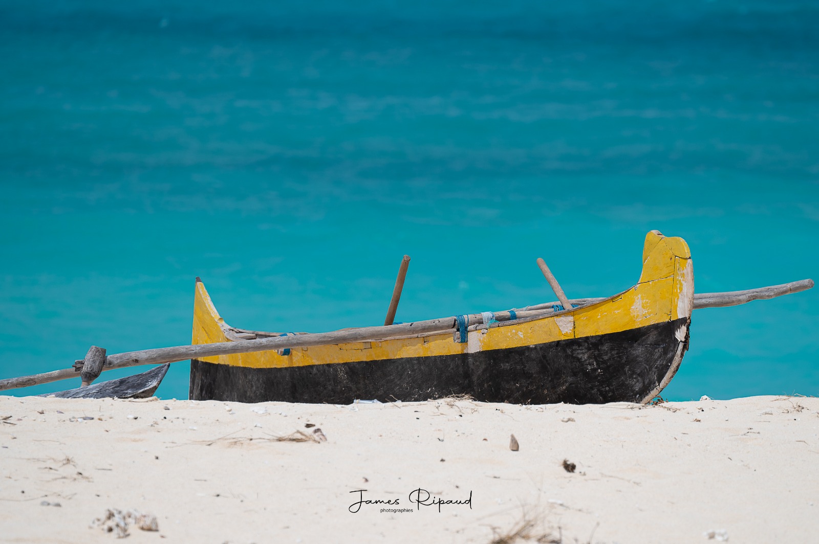 CROISIÈRE ÎLE EN ÎLE ET PLONGÉE
