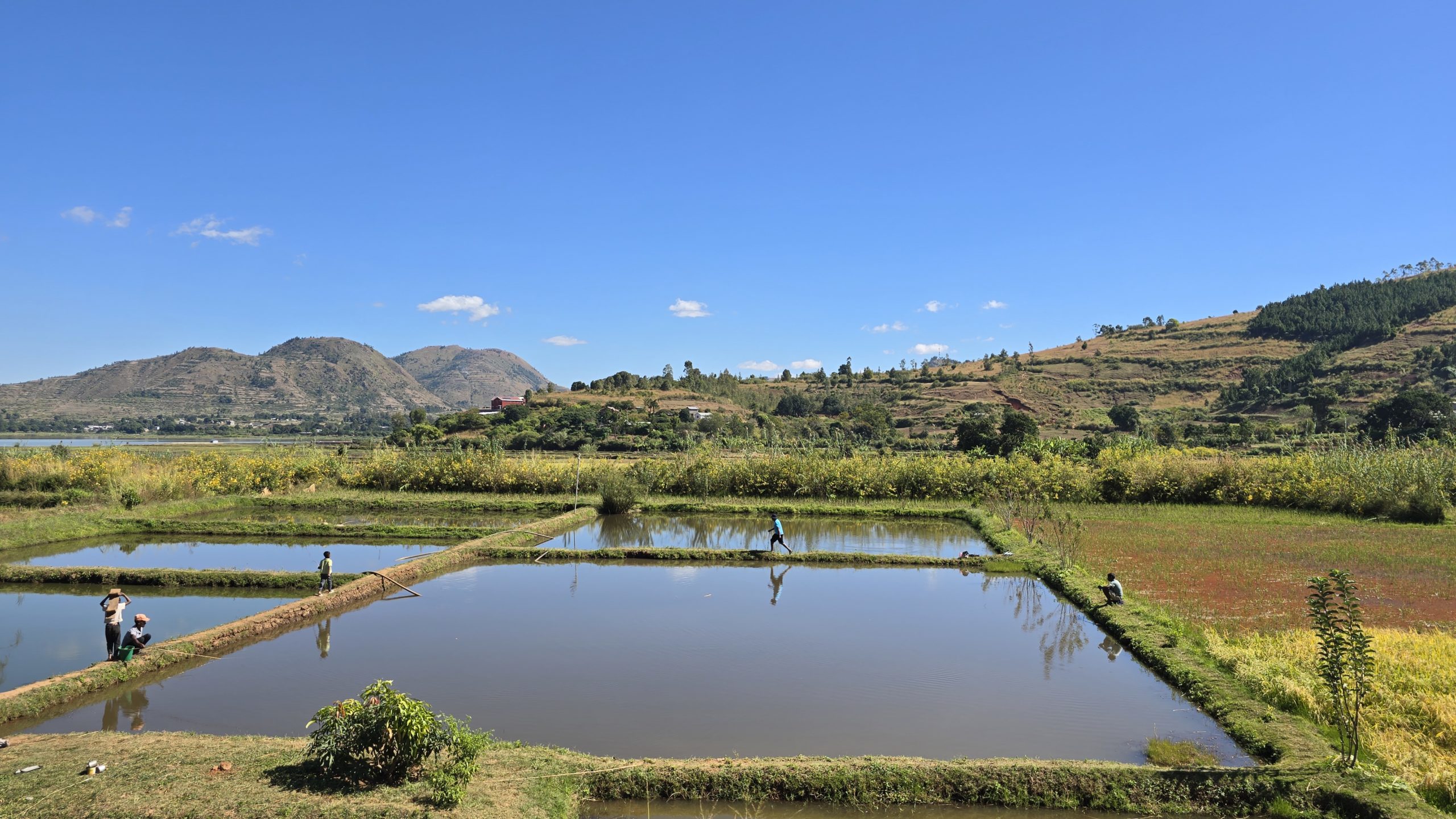 LES PAYSAGES INAVOUÉS DU SUD, D’ANTANANARIVO À ANAKAO